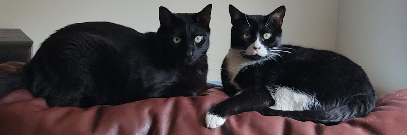 Richie Richard banner