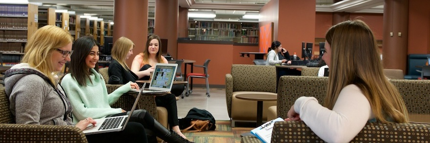 MSVU Library banner