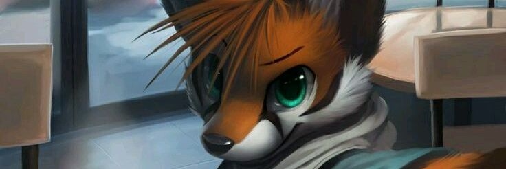 SMRGamingOffici's profile banner image