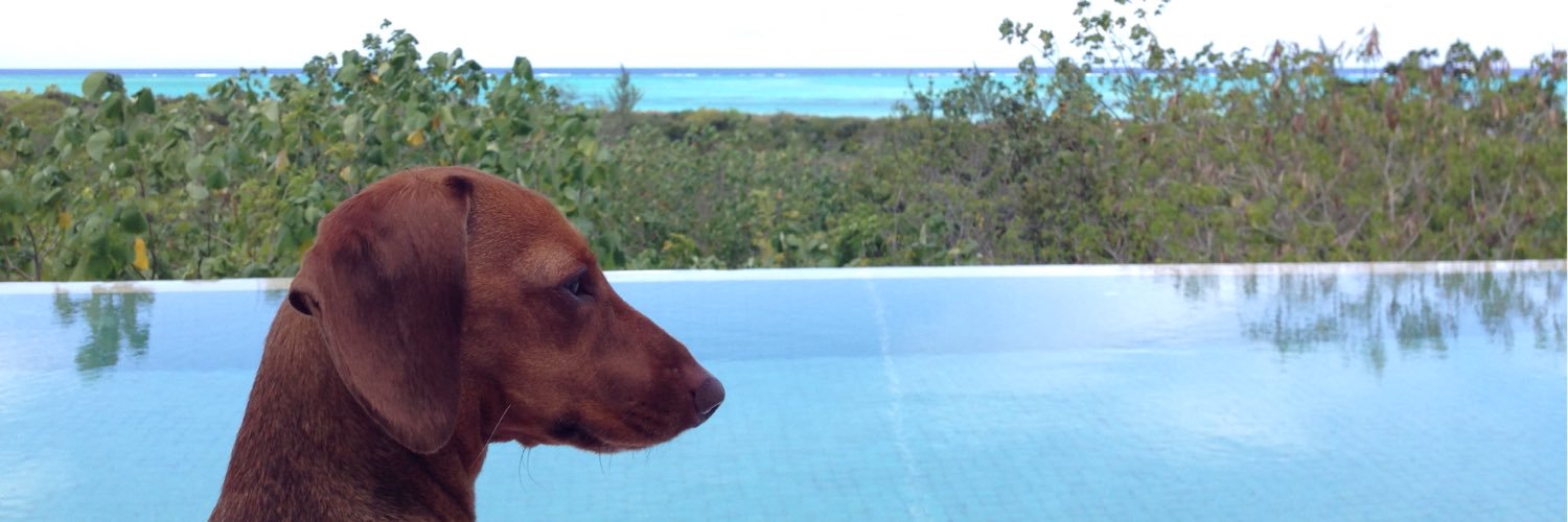 DufusKnows's profile banner image