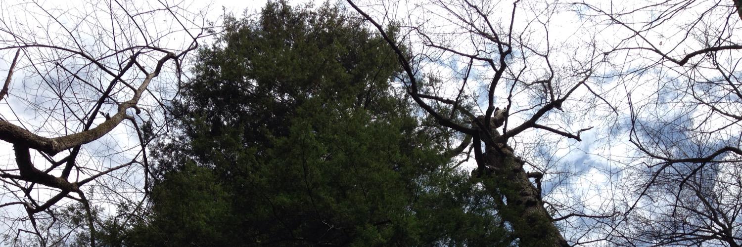 TylerisSmith's profile banner image