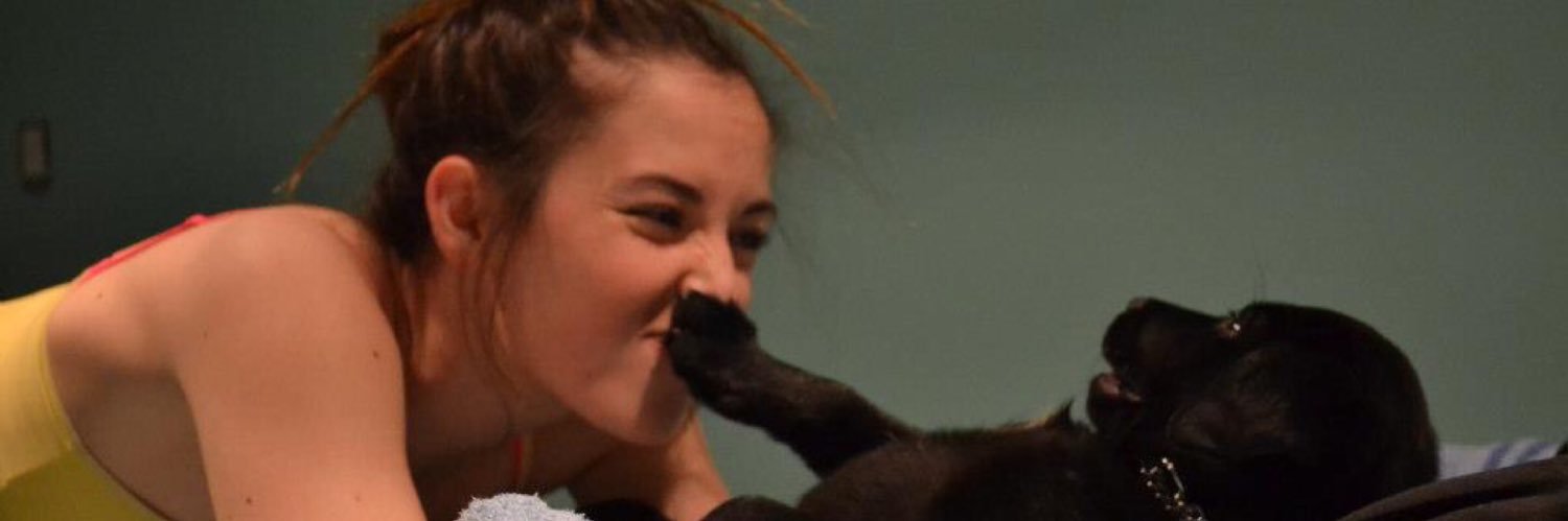 EmmaHaugheey's profile banner image