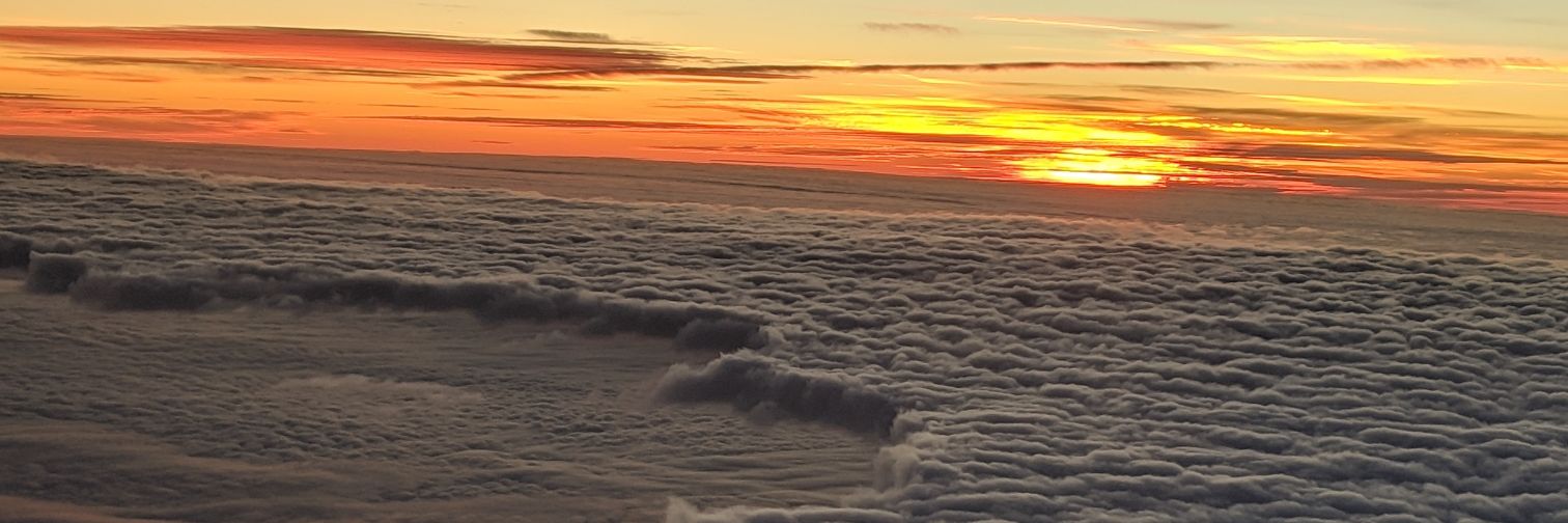 MsVanDT1's profile banner image