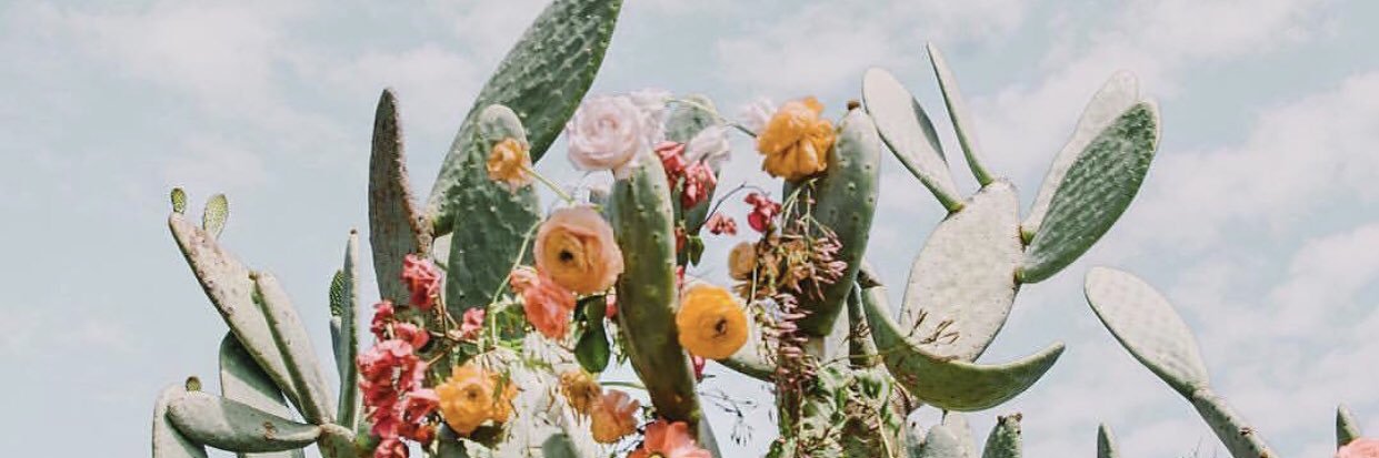 Hailey_Ho94's profile banner image