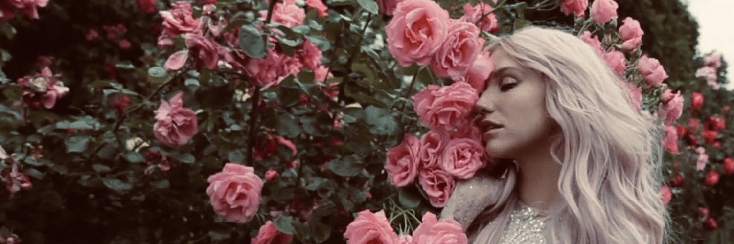 gingersofficial's profile banner image