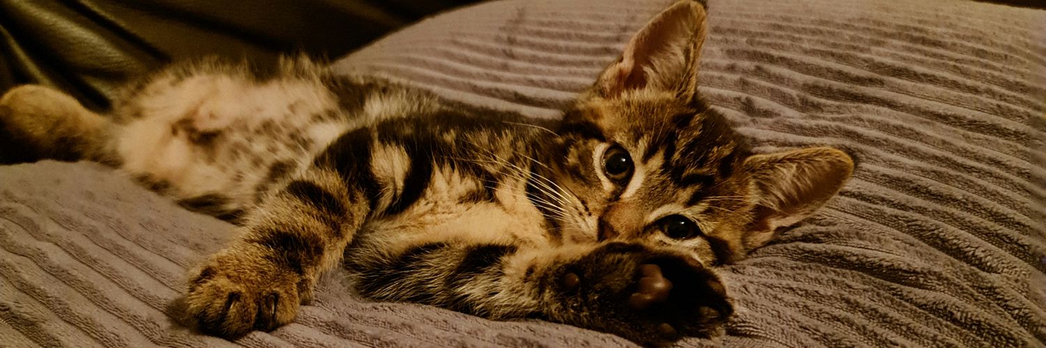 ShazEGreen's profile banner image