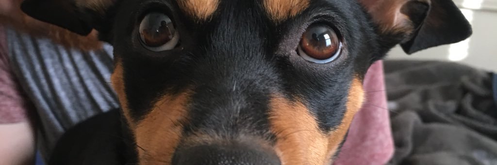 APfuhl13's profile banner image