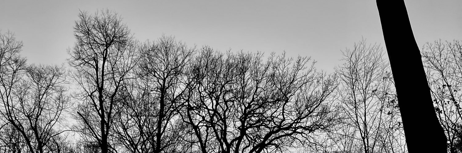 DanielRudny's profile banner image