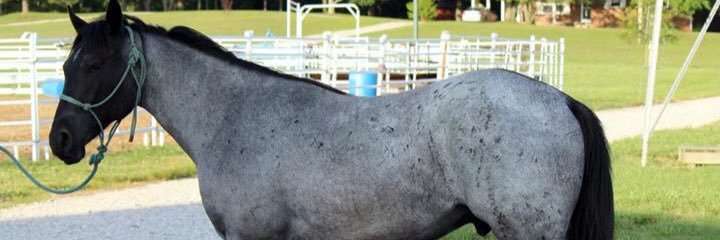 TiffM122's profile banner image