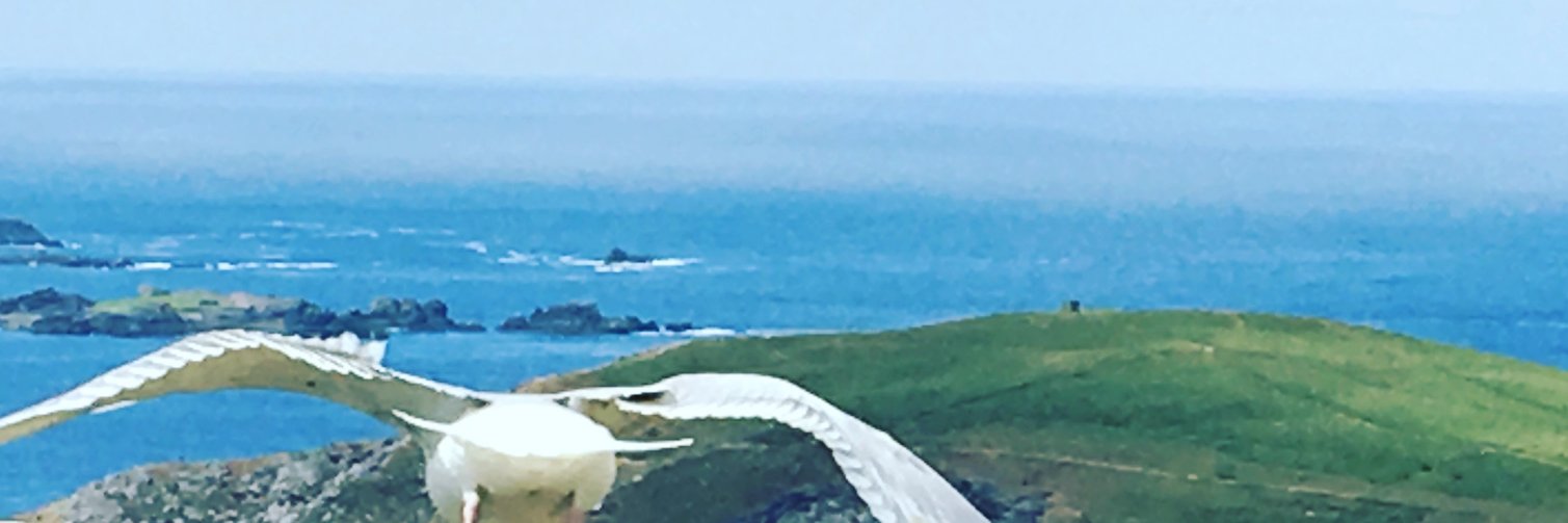 William Polking banner