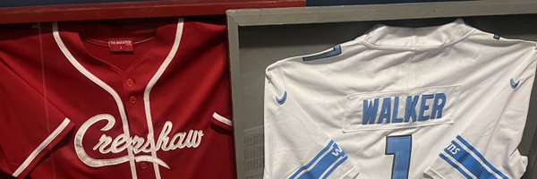 SirBleek_ Profile Banner