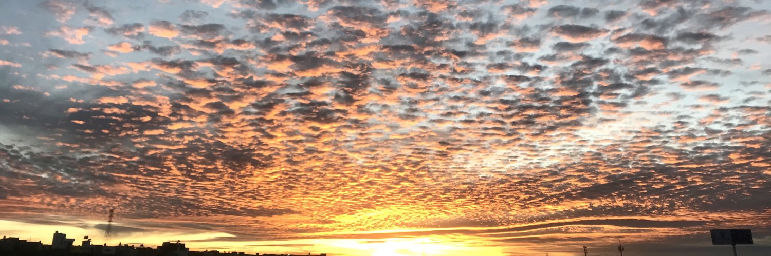 Rosalba Hernandez banner