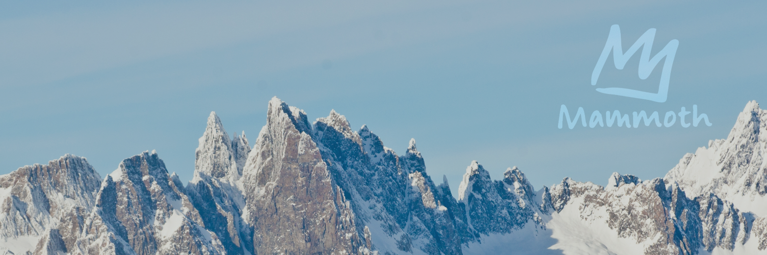MammothINST's profile banner image