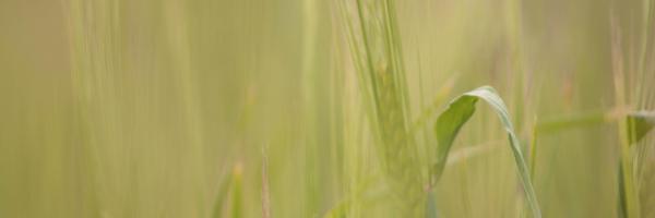 gemmacasals Profile Banner