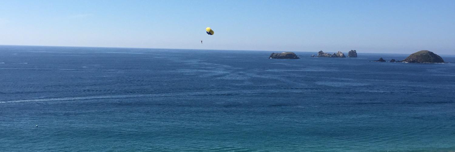 Fernando Castellanos banner