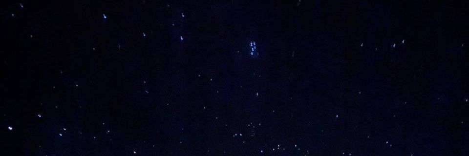 danaferagm's profile banner image
