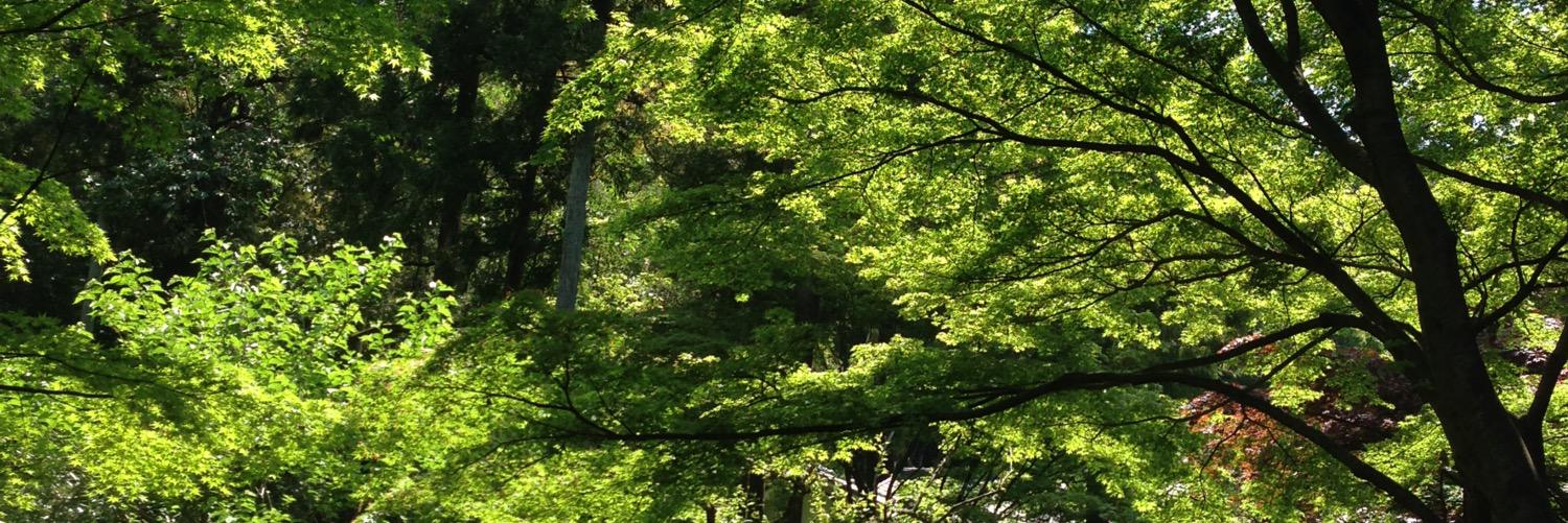 gottfried_ya's profile banner image