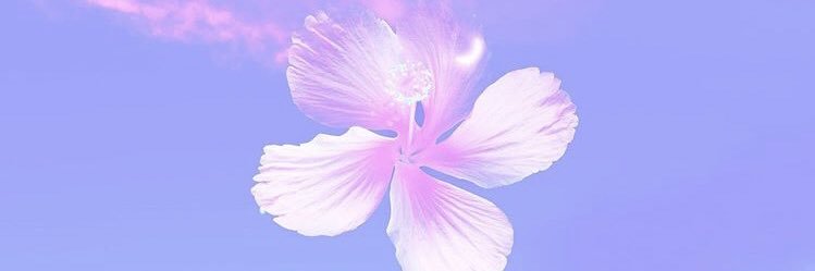 AnnG0r's profile banner image