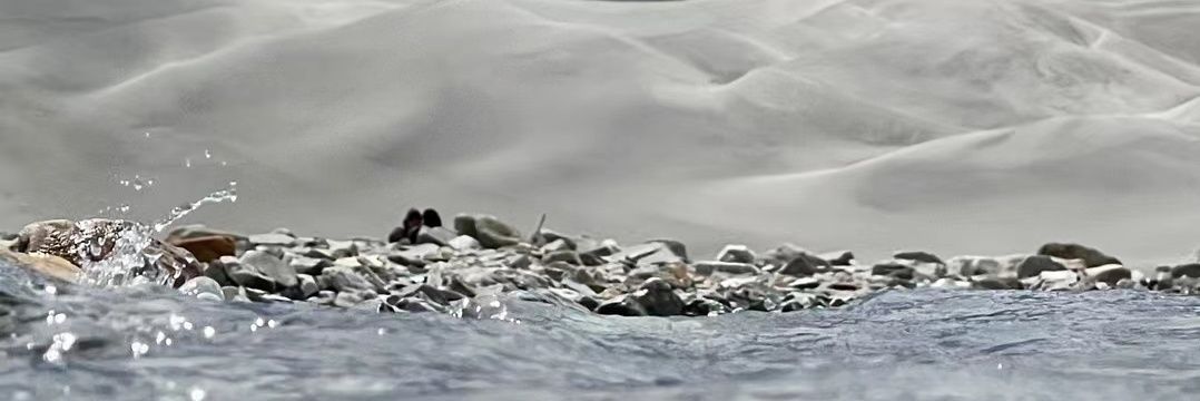moodkking's profile banner image