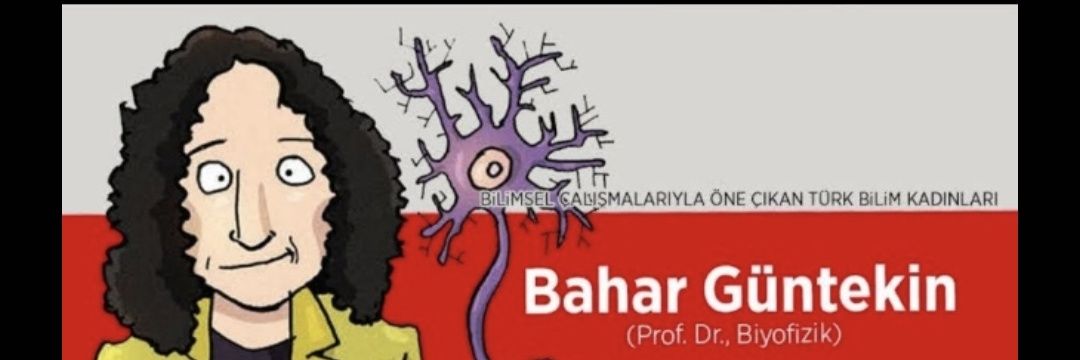 Bahar Güntekin's banner