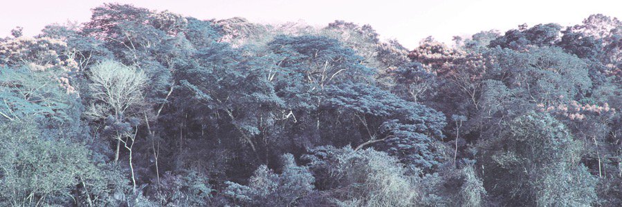 Diffusioni_fest's profile banner image