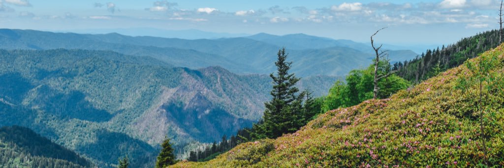 NicholsZach's profile banner image