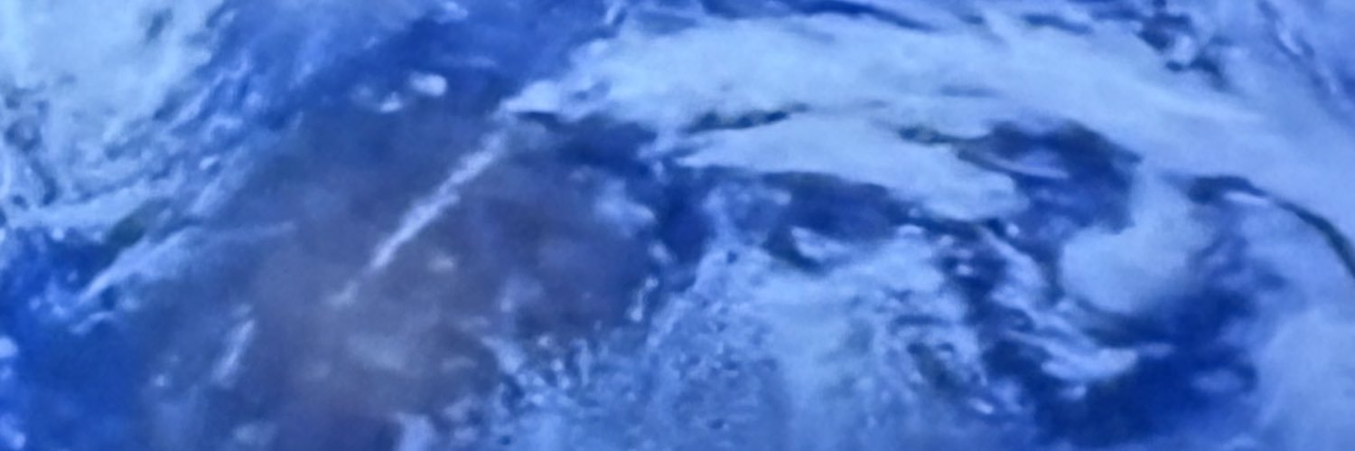 ThankYouPapiTrumpo❤️🤍💙 banner
