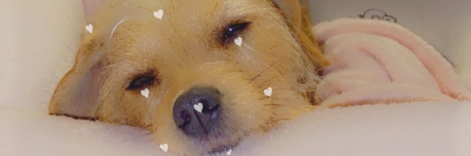 LeslyVibes's profile banner image