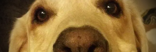 mtheoryworld's profile banner image