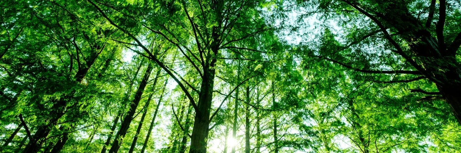 hapiyon's profile banner image