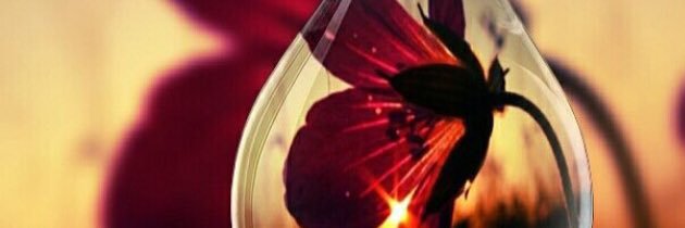 la7n__09_'s profile banner image