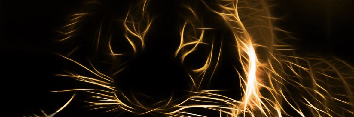 Brightly_Burn's profile banner image