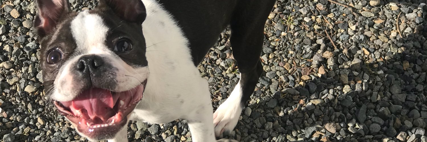 misskaseybb's profile banner image
