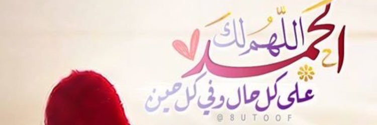 meshaelotail's profile banner image
