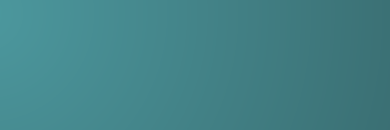 webdev_cat's profile banner image