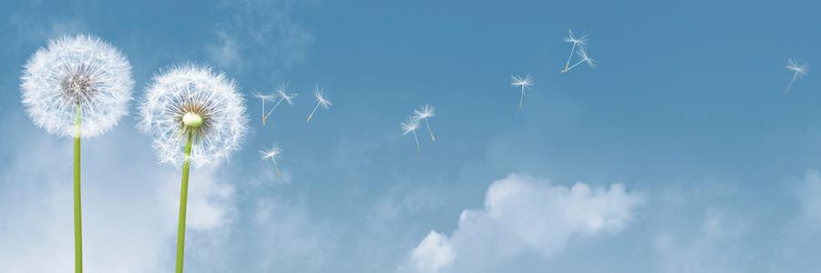 EkoBTP's profile banner image