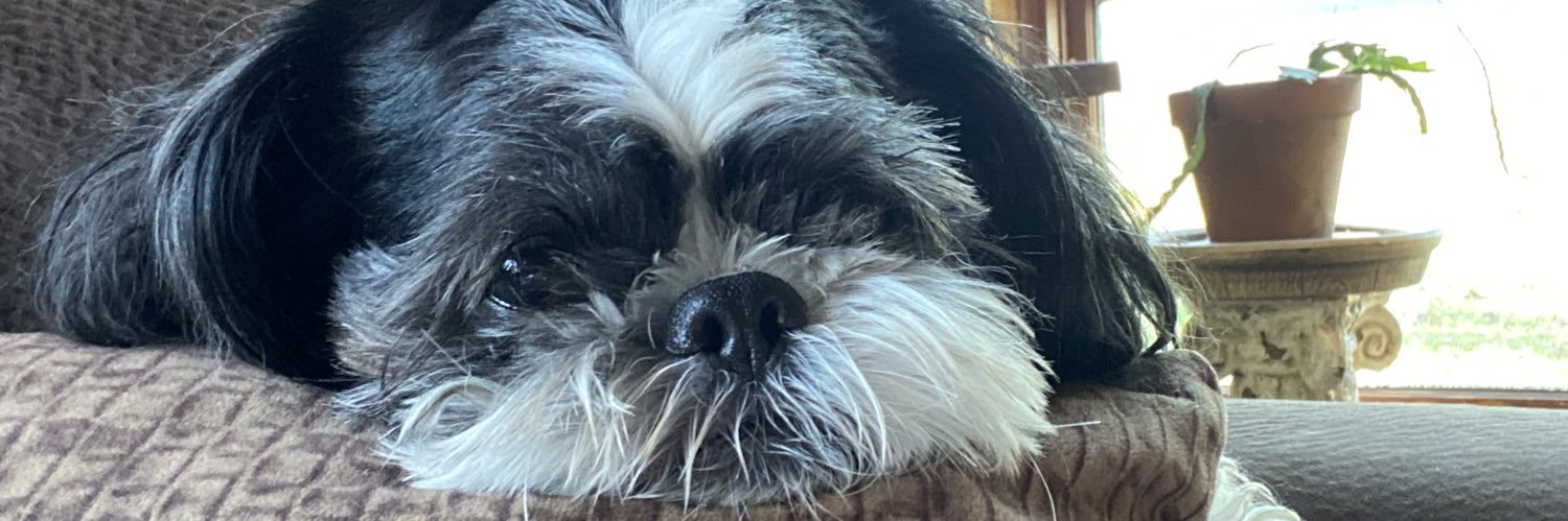 macejo34's profile banner image