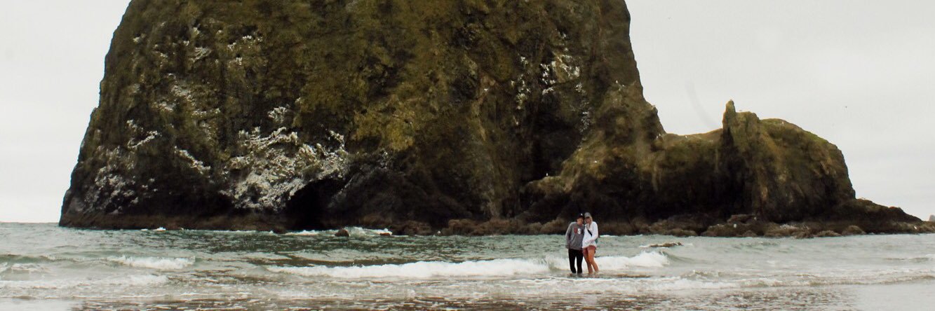 Sharis Lachappelle banner