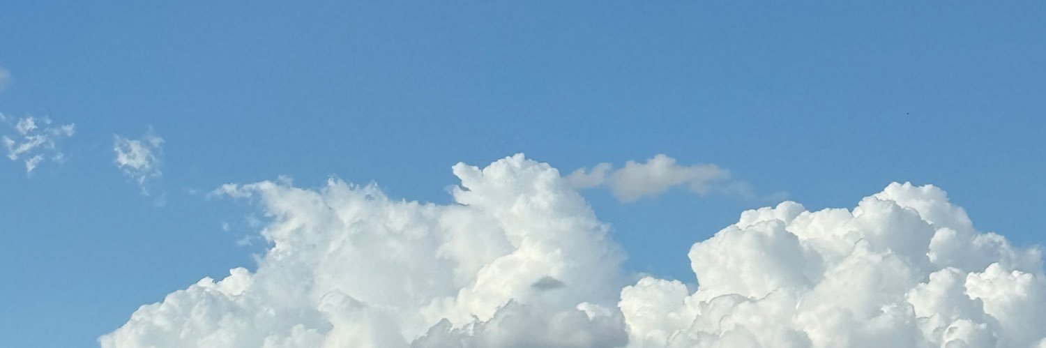 tinnibrag's profile banner image