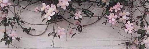 noone28noone Profile Banner