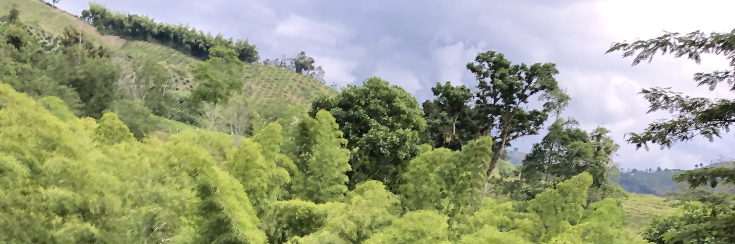 rinconmlucas's profile banner image