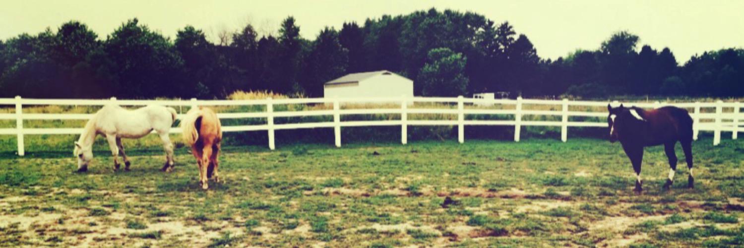 Lyss_Leee's profile banner image