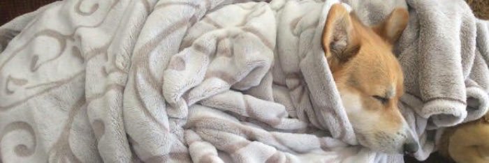 Mattsprettyneat's profile banner image