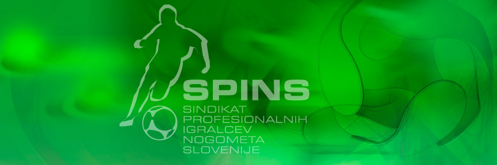 SPINS banner