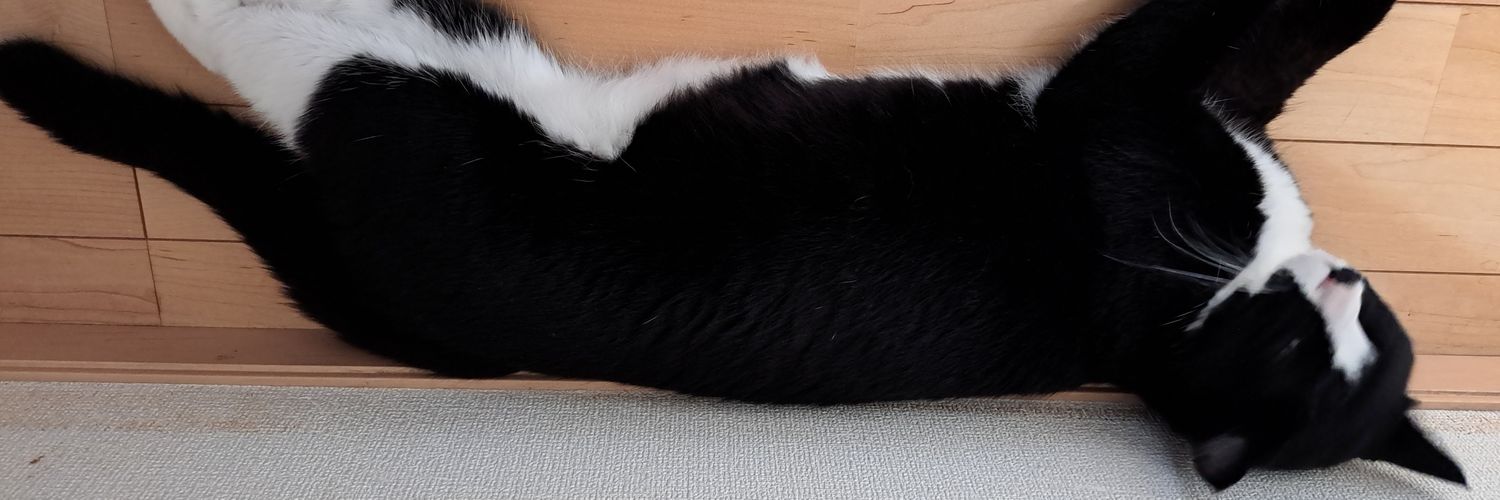 momononeko's profile banner image