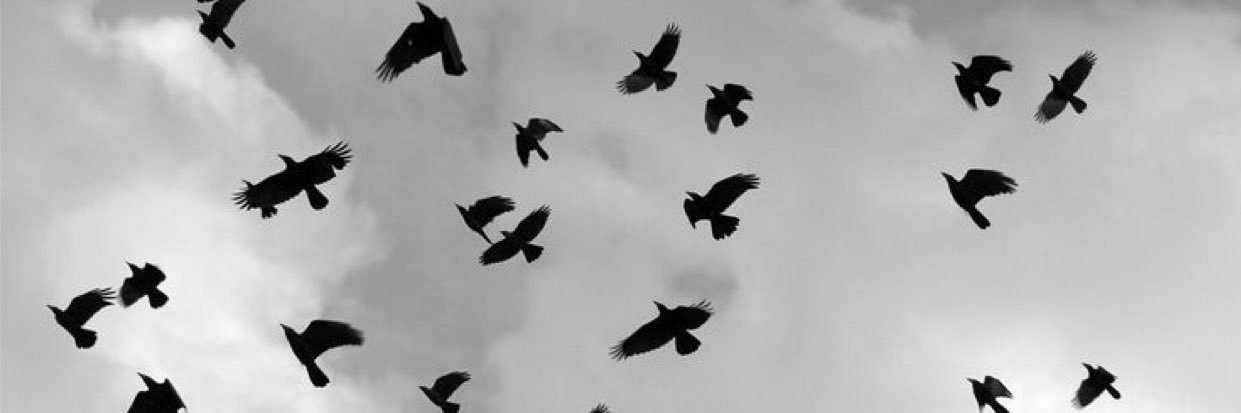 RileyMacLean2's profile banner image