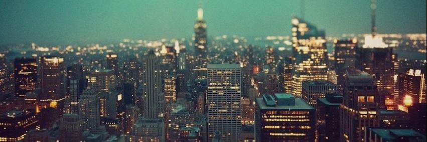 ell_paluch's profile banner image
