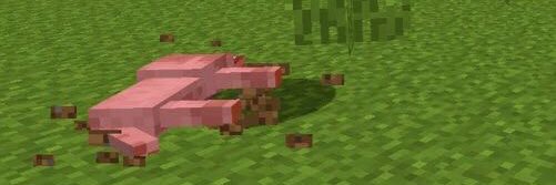 leonardoisfunny's profile banner image