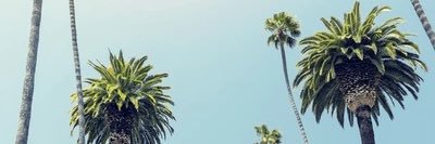 LukeAllenXXX's profile banner image