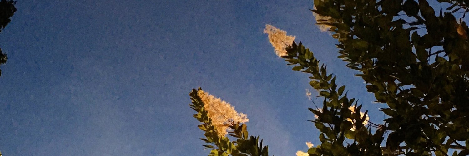 clutterslut's profile banner image